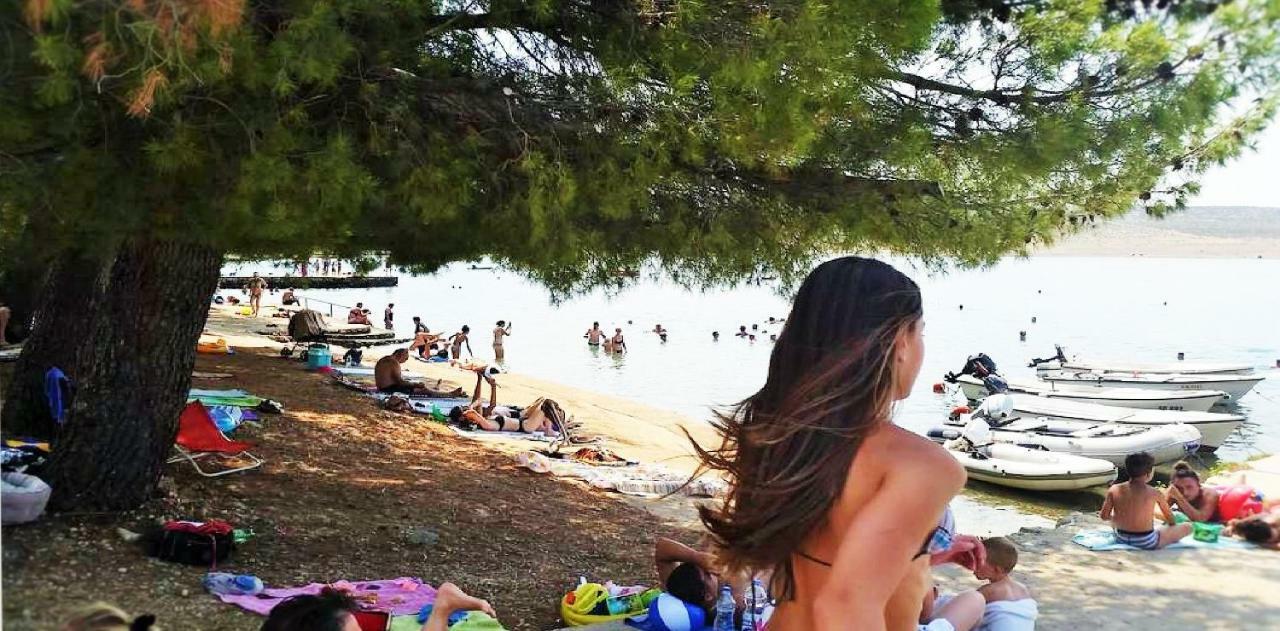 Apartmani Mala Sirena 马斯莱尼察 外观 照片