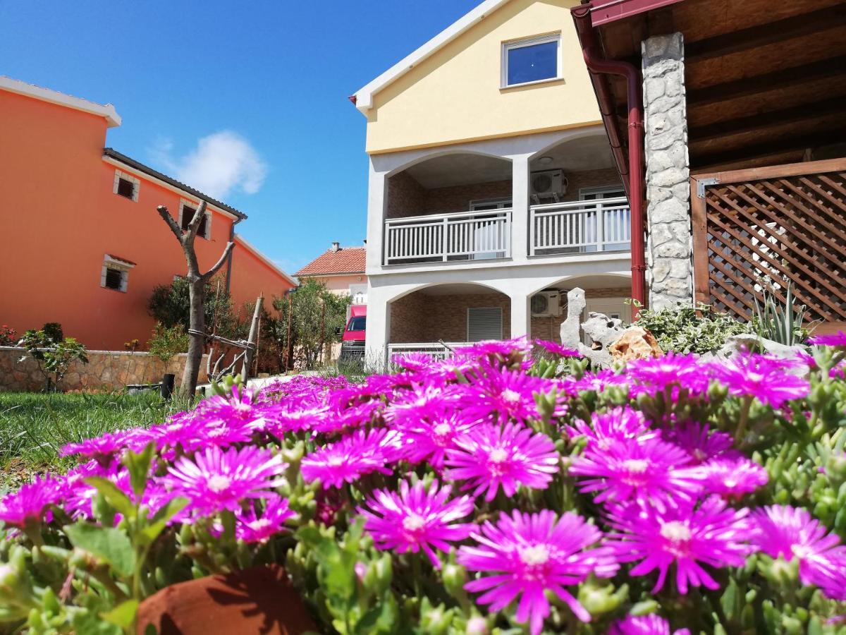 Apartmani Mala Sirena 马斯莱尼察 外观 照片